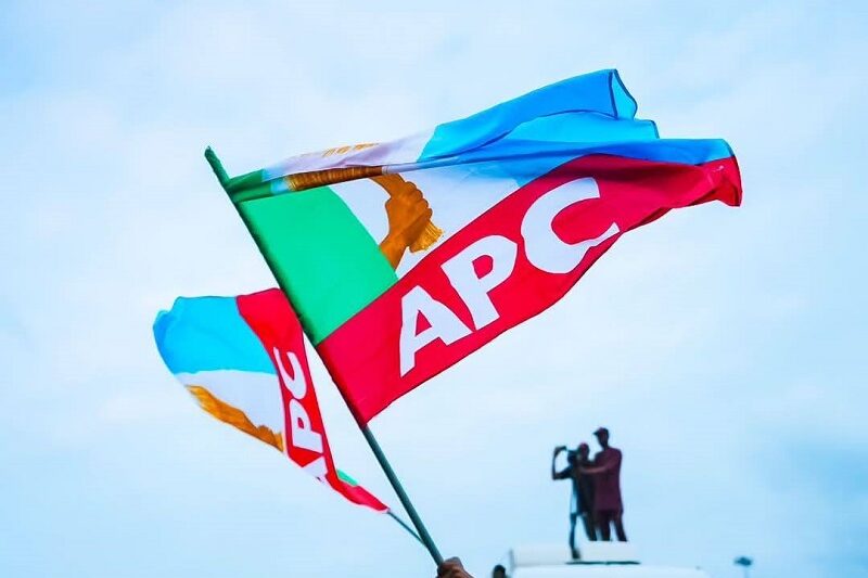 Fresh Twist in APC as Party Chairman Resigns, Gives Reasons