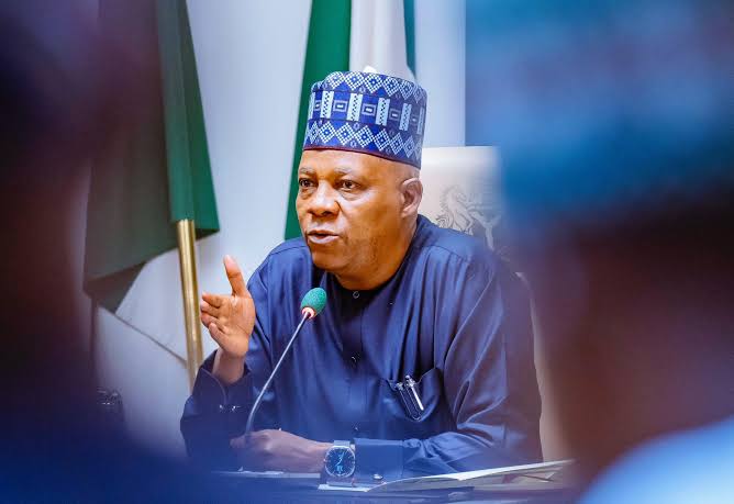 Nigerians Gave Up Scholarship Money for Your Freedom, Shettima Tells South Africans Amid Attacks on Nigerians