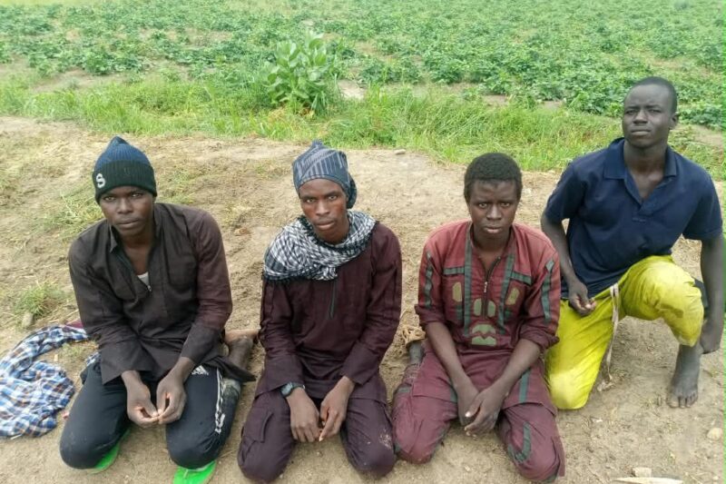 Military Pressure Forces Over 150 Terrorists To Surrender In North-East