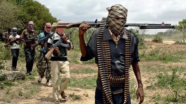 Bandits Kill 7, Abduct 17 In Fresh Attack On Sokoto Communities