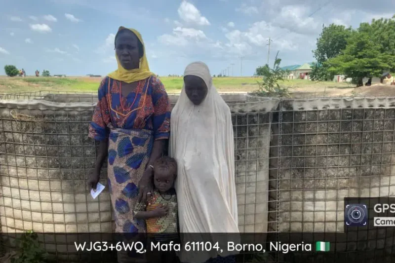 Terrorist Family Member, Two Children Surrender To Troops In Borno