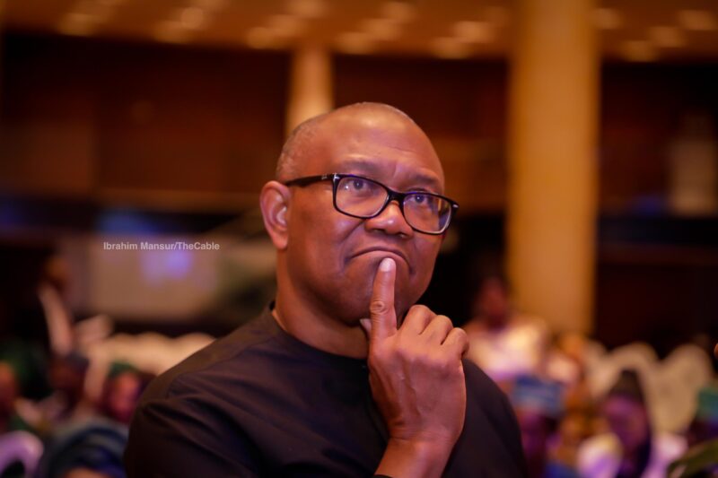 I Won 2023 Presidential Election, But There’s No Evidence – Peter Obi