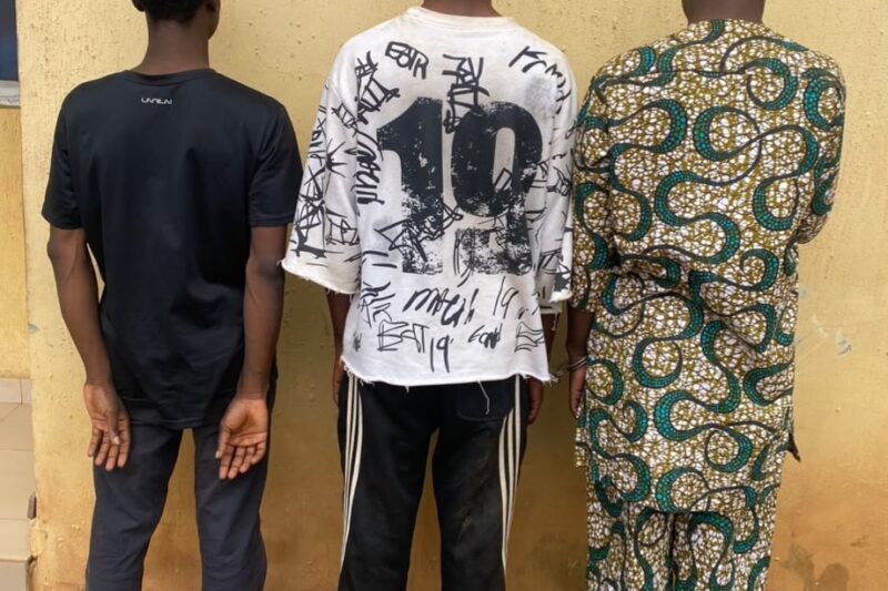 ‘He’s Our Wife’ – Oyo Police Arrest Three Men Over Alleged Gay Practice