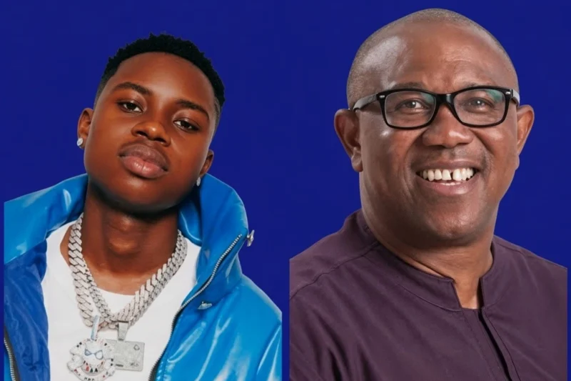 2027: Nigerians React as Peller Opens Up About Peter Obi’s Request for a Livestream